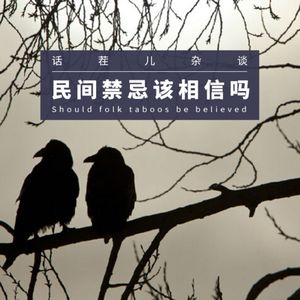 VOL.197 风水大师来了