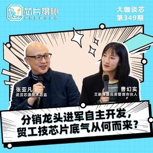 第349期 | 分销龙头进军自主开发，贸工技芯片底气从何而来？