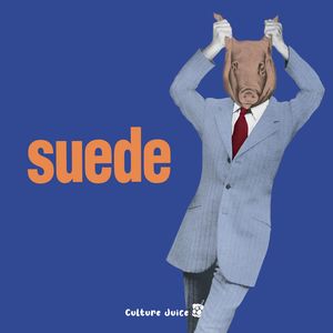 【Vol.11】音乐节后遗症|深夜为山羊皮乐队哭泣