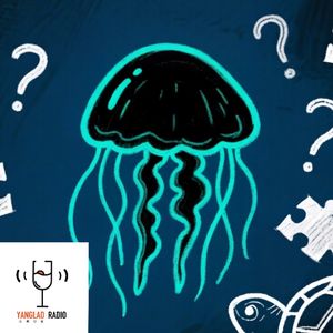 vol248 - 他出了一道选择题，不管她怎么选都正确