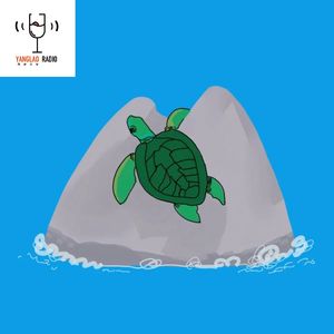 vol238 - 与我一同侥幸存活的，还有一盏红灯笼