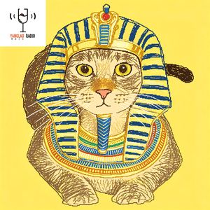 vol268 - 其实埃及不是只有脏乱差