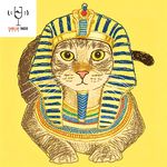 vol268 - 其实埃及不是只有脏乱差