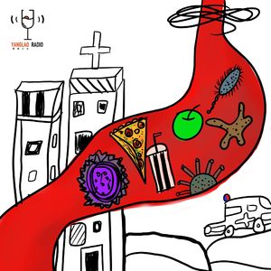 vol143 - 医疗无法企及的高度，到底“胃”什么啊