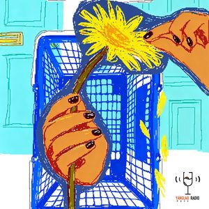vol272 - 购物复盘，宝藏分享