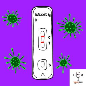 vol87 - 羊了个羊通关实录
