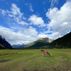 一条来自旅途的简讯