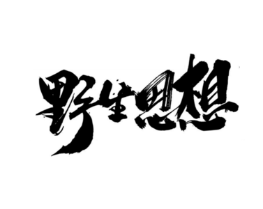 对话林秋敏：深二代、败家子？用脚下的滑板，向一切 SAY NO！｜野生思想Wildideas #25