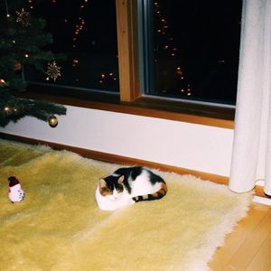 E58|圣诞地带 Christm24 Side B