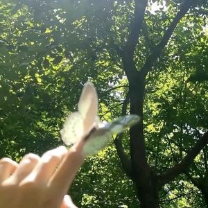 E60｜夏天拥有全部的蠢蠢欲动