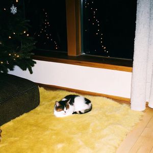 E57|圣诞地带 Christm24 Side A