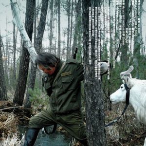 维佳-森林里最后的一头犴,顾桃作品《犴达罕 》映后分享