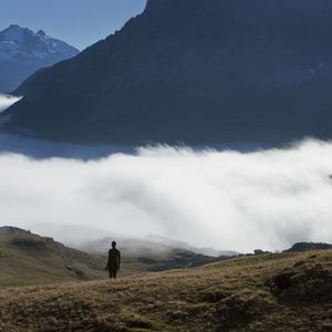 老不休EP186 梦外之音（下）