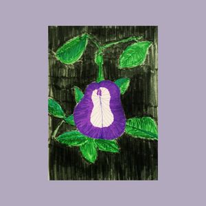 老不休EP55 做个真妇女,在笑声里度过