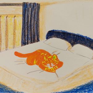 老不休EP35 地球操心人：极简出奇迹，环保带压力