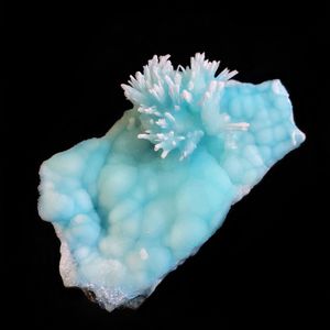 老不休EP116 勋阁麒麟无梦想，故山猿鹤有心期