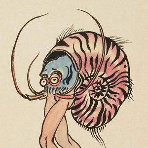 老不休EP82 下班以后，海鲜成精 | 与花关索聊聊 《海洋生物精怪图谱》