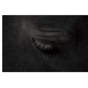 老不休EP129 梦已经醒来，心不会害怕