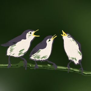 老不休EP124 老不休妇女重聚首,土海龟唏嘘事境迁