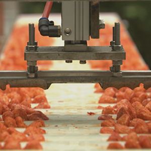 周五歌单:自动穿串 by 长老孙