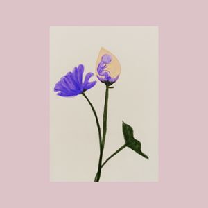 老不休EP58 怀孕这件大事，坎坷总有希望