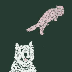 老不休EP57 家有宠物，甚至猫狗双全！