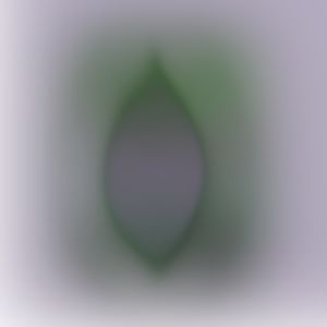 老不休EP56 我得新冠了！但是生活还得继续！