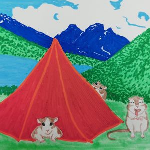 老不休EP34 露营让你摇曳了吗？