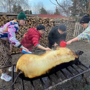 老不休EP190 匈牙利杀猪之旅