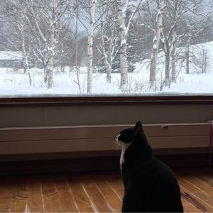 vol.24 北海道会惩罚每一个不认真做攻略的P人