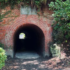 vol.25 千寻想活出怎样的人生｜宫崎骏动画电影漫谈