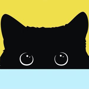 不懂生活 | 我的猫咪因传腹去了喵星