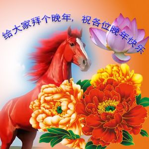 给大家拜个晚年，祝各位晚年快乐