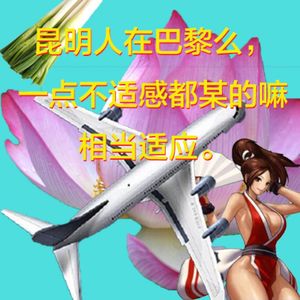 昆明人在巴黎么，一点不适感都某的嘛，相当适应