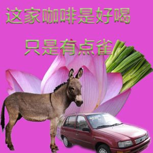 这家咖啡是好喝,只是有点雀