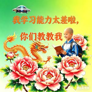 我学习能力太差啦,你们教教我