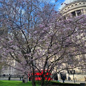 Vol 10. 英伦十一年、异国辛酸路 | 献给每一个为了梦想背井离乡的你