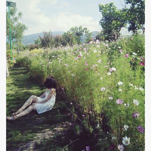 Vol 8. 英国约会指南 (上)