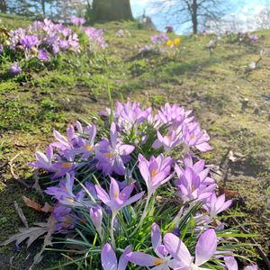 Vol 6. 致我们渐行渐远的友情 （上）