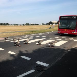 Vol 11. 英国生活带给我的文化冲击 |那些年我们在国外闹过的笑话