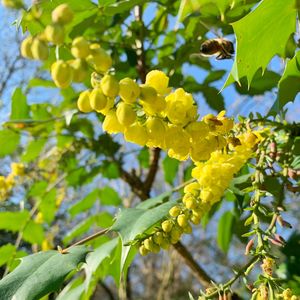 Vol 7. 致我们渐行渐远的友情 （下）