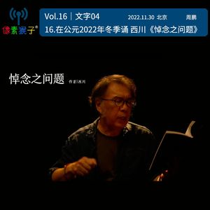 15.在公元2022年冬季 诵 西川《悼念之问题》｜文字04