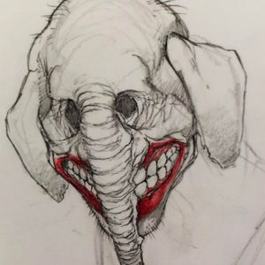 第28集:动物园里看到兔子怎么办?——网络怪谈新浪潮