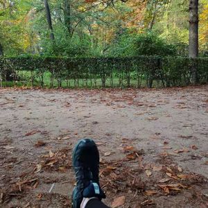 01 天气正好来遛弯儿吧