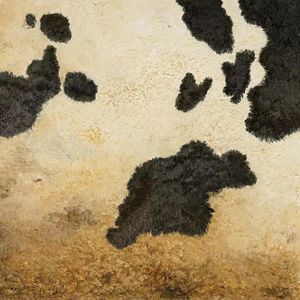 闲聊艺术市场2022新变化