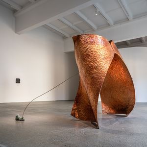 任莉莉 | 敏感而坚定走自己的路