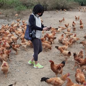 沈瑞筠 | 艺术圈全能王回来画画喽！