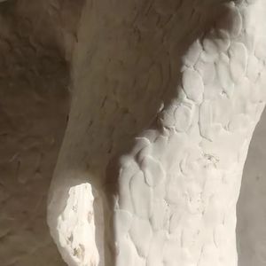 康靖 | 沉而不争缓慢前行