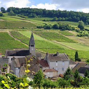 红酒巅峰勃艮第 第一集