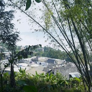 从菜街到厨房-20 鉴茶哥做客来喝茶，聊聊春日茶山